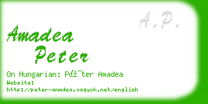 amadea peter business card